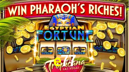 Casino Ao Vivo e77